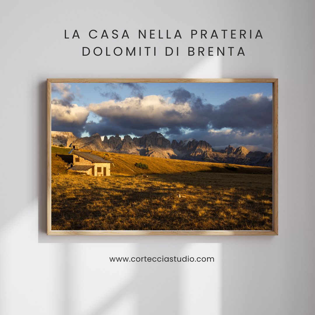 ©CortecciaStudio