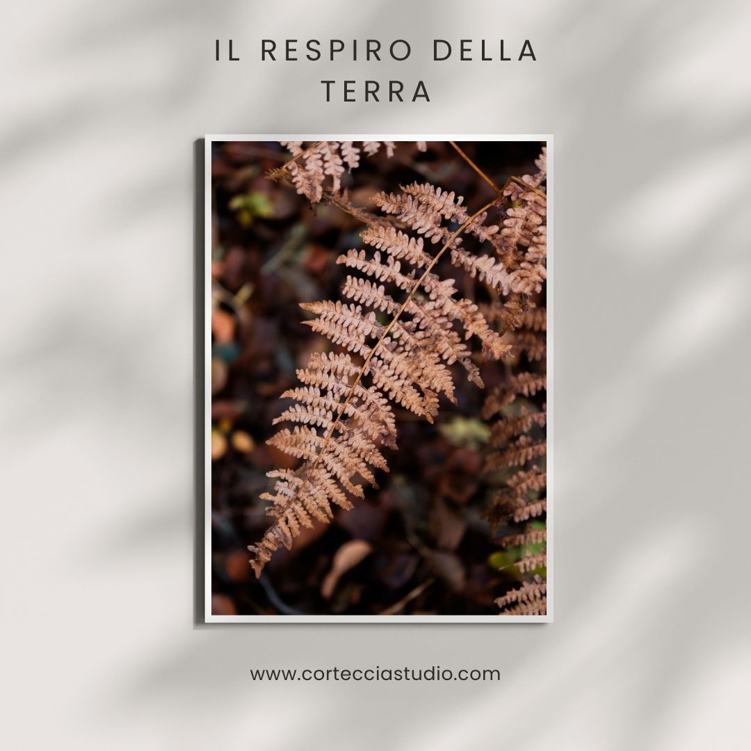 Poster - Il respiro della terra